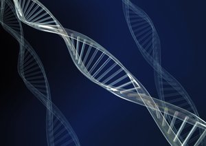 鄂溫克族自治旗生活有限責(zé)任公司